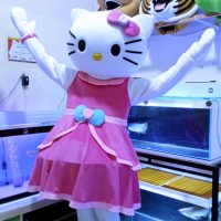 0a58da50-1285-4507-8da4-66222185a1ce